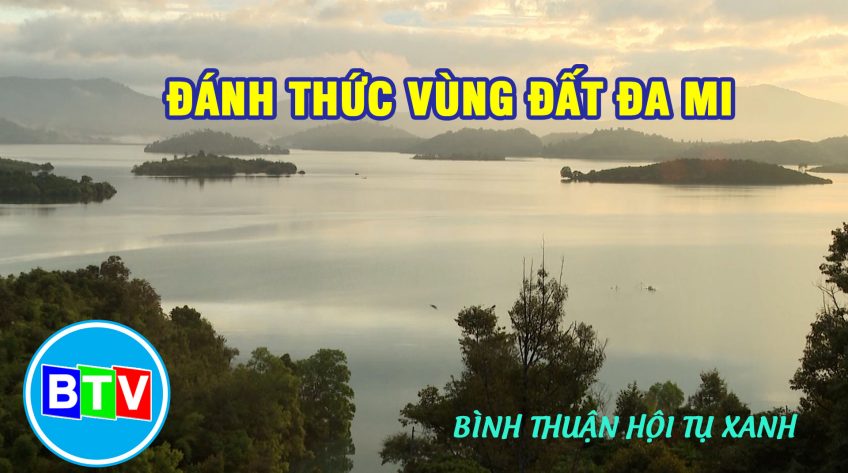 Bình Thuận hội tụ xanh - 8.6.2023