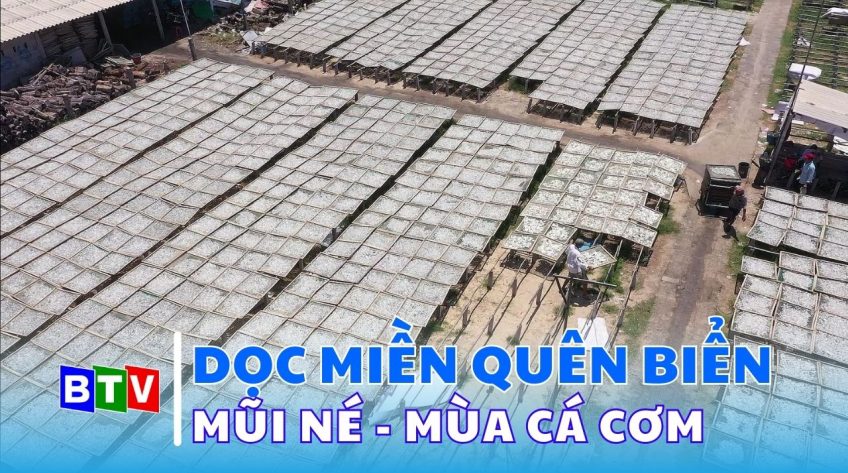 Dọc miền quê biển | 08-9-2024