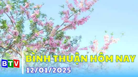 Bình Thuận hôm nay | 12.01.2025