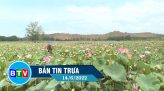 Bản tin trưa 23/6/2022