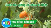 Đưa khoai lang Nhật về trồng cho thu nhập khá | Tam nông bốn nhà  - 28.04.2022