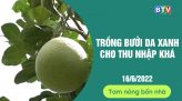 Tam nông bốn nhà  | 7.7.2022