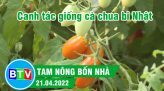 Đưa khoai lang Nhật về trồng cho thu nhập khá | Tam nông bốn nhà  - 28.04.2022