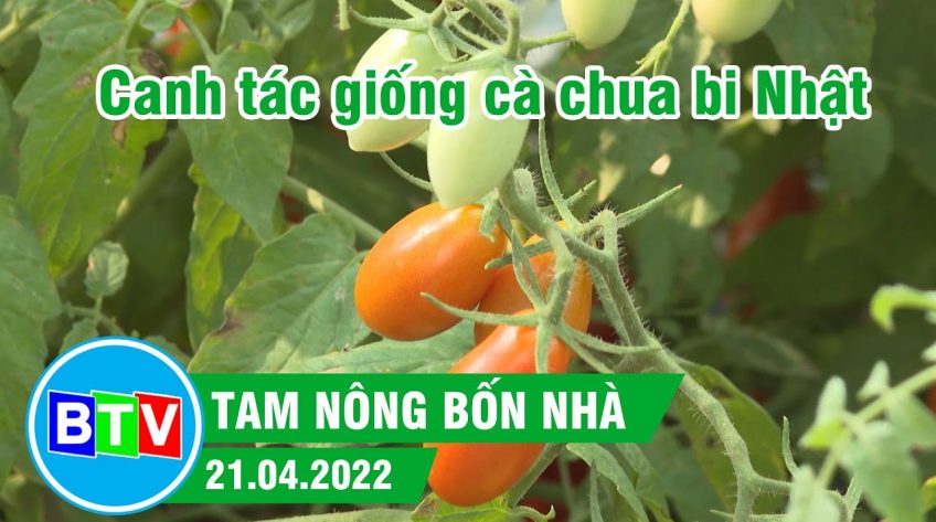 Tam nông bốn nhà 21.04.2022