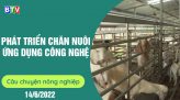 Điều kiện thời tiết thuận lợi cho cây hành phát triển | Câu chuyện nông nghiệp 16.8.2022