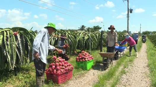 Công nghệ đời sống 5/10/2024