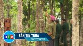 Bản tin trưa 15/7/2022