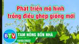 PHÁT TRIỂN CÂY TRÀ LÀ TRÊN VÙNG ĐẤT CÁT BẠC MÀU | TAM NÔNG BỐN NHÀ | 03.03.2022