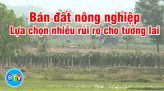 Cứu sống bệnh nhân bị thủng tim, thủng phổi