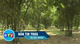 Bản tin trưa 25-3-2022