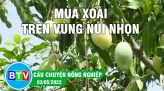 Sản xuất lúa hè thu trong điều kiện vật tư nông nghiệp, phân bón tăng cao | Câu chuyện nông nghiệp | 31/5/2022