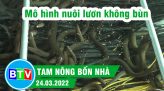 Đưa khoai lang Nhật về trồng cho thu nhập khá | Tam nông bốn nhà  - 28.04.2022