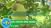 Giữ vững và phát triển thương hiệu gạo Tánh Linh |Câu chuyện nông nghiệp 18.01.2022