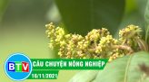 Giữ vững và phát triển thương hiệu gạo Tánh Linh |Câu chuyện nông nghiệp 18.01.2022