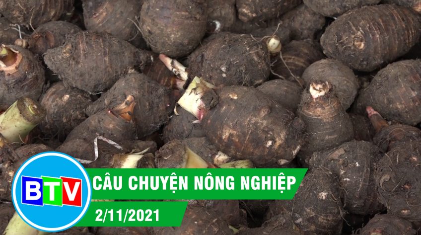 Câu chuyện nông nghiệp | 2.11.2021