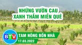 Đưa khoai lang Nhật về trồng cho thu nhập khá | Tam nông bốn nhà  - 28.04.2022