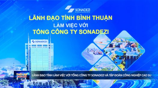 Lãnh đạo tỉnh làm việc với Tổng công ty Sonadezi và Tập đoàn Công nghiệp Cao su Việt Nam.