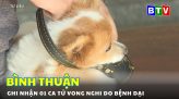 Hội thao Công nhân, viên chức, lao động huyện Hàm Thuận Bắc năm 2024