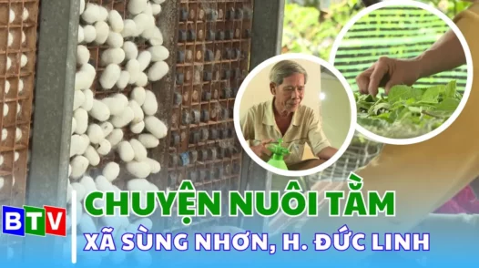 Câu chuyện nông nghiệp | 11.03.2025