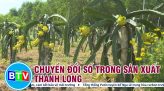 Chuyển đổi số trong tiêu thụ nông sản, hàng hóa | Chuyển đổi số 18.9.2022