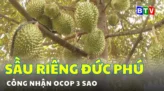 Các địa phương ở phía Nam tỉnh sẵn sàng cho vụ trồng rừng mới