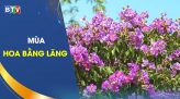 Hiến máu cứu người - Hành động luôn được lan tỏa