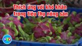 SỚM NẠO VÉT TUYẾN LUỒNG TẠI CỬA SÔNG PHÚ HÀI - PHAN THIẾT