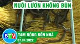 Đưa khoai lang Nhật về trồng cho thu nhập khá | Tam nông bốn nhà  - 28.04.2022