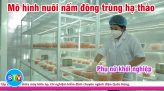 KHỞI NGHIỆP BẰNG MÔ HÌNH KINH DOANH HẢI SẢN | PHỤ NỮ KHỞI NGHIỆP 24.03.2022