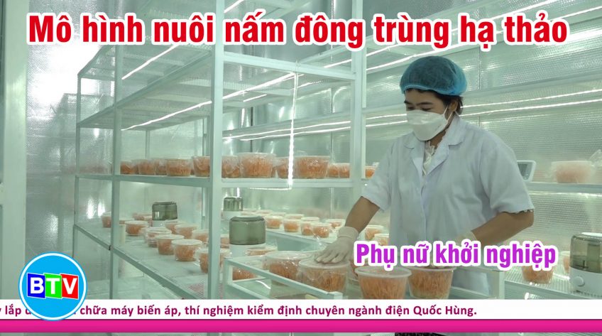 Mô hình nuôi nấm đông trùng hạ thảo | Phụ nữ khởi nghiệp 24.02.2022