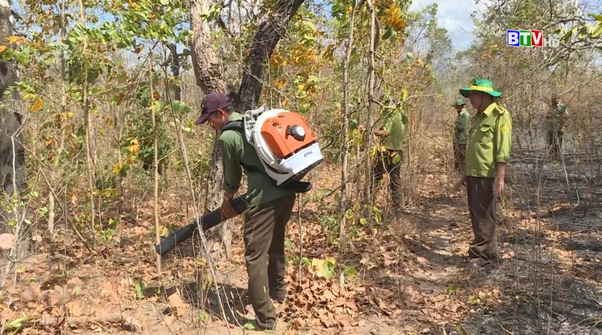 Chủ tịch UBND tỉnh vừa có ý kiến chỉ đạo tăng cường công tác quản lý, bảo vệ và phòng cháy, chữa cháy rừng