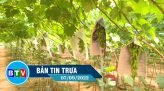 BẢN TIN TRƯA 9.9.2022