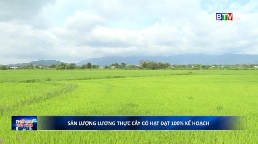 Sản lượng lương thực cây có hạt đạt 100% kế hoạch