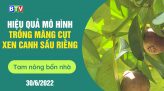 Tam nông bốn nhà  | 7.7.2022