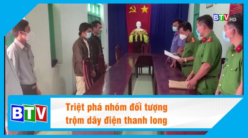 Triệt phá nhóm đối tượng trộm dây điện thanh long