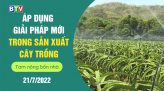 Tam nông bốn nhà 8.9.2022