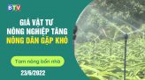 Tam nông bốn nhà  | 7.7.2022