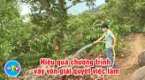 Bình Thuận có 2.250 phương tiện kinh doanh vận tải được quản lý thuế